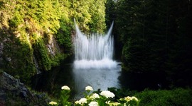 Timeline: Historia De La Ecología