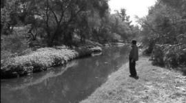 Timeline: historia de la ecologia