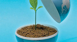 Timeline: Ecology History