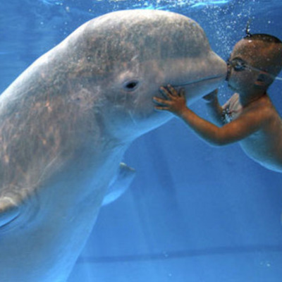 Timeline: Ecología a través del tiempo