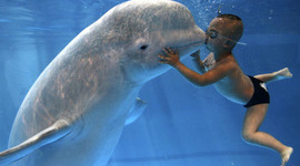 Timeline: Ecología a través del tiempo