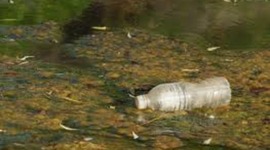 Timeline: Timeline Cydney and Jess