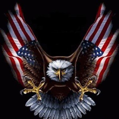 Timeline: Road to Revolution-Carl Robinson