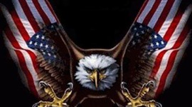 Timeline: Road to Revolution-Carl Robinson