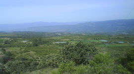 Timeline: Historia de la ecología (en años)