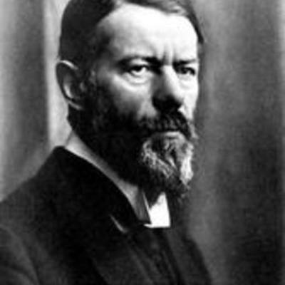 Timeline: gfgjfgfgkgf