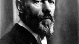 Timeline: gfgjfgfgkgf