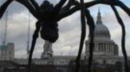 Timeline: CRONOLOGIA DE LA ECOLOGIA