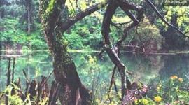 Timeline: Plan de IEC para San Jose Calderas