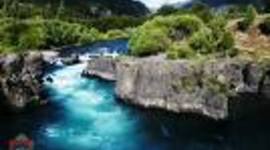 Timeline: HISTORIA DE LA ECOLOGIA BURGS