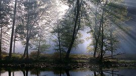 Timeline: Historia de la Ecologia