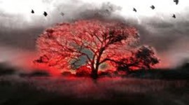 Timeline: El Duelo y Sus Etapas