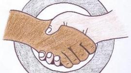 Timeline: Origen convivencia ciudadana