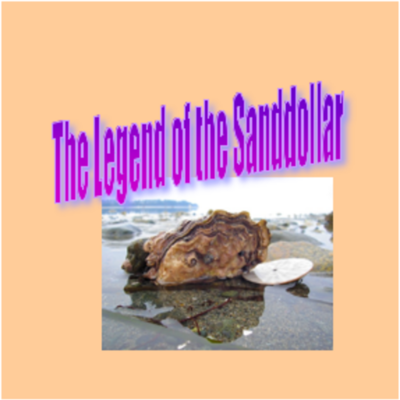 Timeline: Rita's Summer Search for Sanddollars