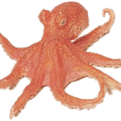 Timeline: Preparación de Ley de Control de Poder de Mercado