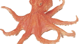 Timeline: Preparación de Ley de Control de Poder de Mercado