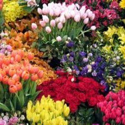 Timeline: Un poco sobre mi