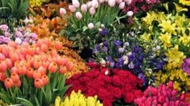 Timeline: Un poco sobre mi