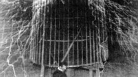 Timeline: Nikola Tesla, Industrial Revolutionary