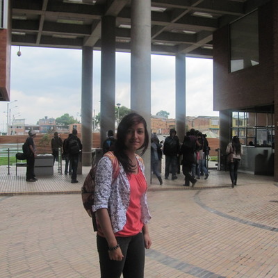 Timeline: ingreso a la universidad