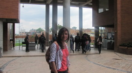 Timeline: ingreso a la universidad