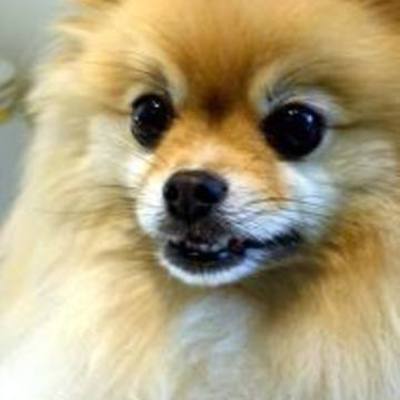 Timeline: Brewster!!!!!!!!