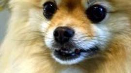 Timeline: Brewster!!!!!!!!