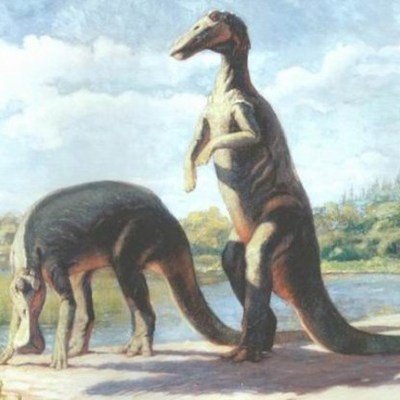 Timeline: Paleoimagery