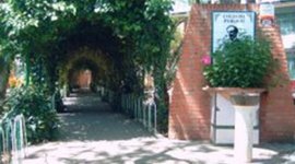 Timeline: mis estudios