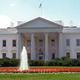 The white house