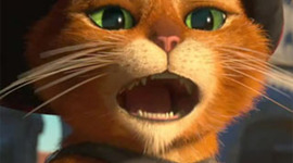 Timeline: Educación a Distancia