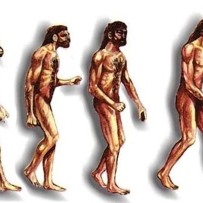 Timeline: La prehistoria