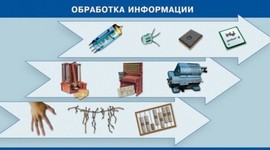 Timeline: Обработка информации