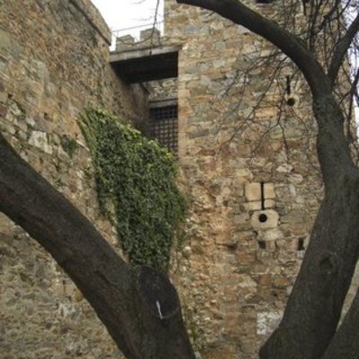 Timeline: El inicio de la Edad Media