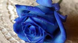 Timeline: Mi línea del tiempo