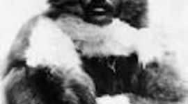 Timeline: Matthew Henson