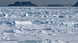 Timeline: Matthew Henson