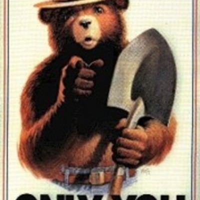 Timeline: Smokey Bear Campaign