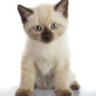 Timeline: My Life Timeline!!!