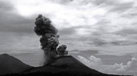 Timeline: 21 Balloons/ Sophia