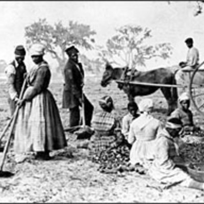 Timeline: Past of Slaves