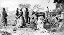 Timeline: Past of Slaves