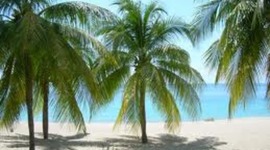 Timeline: Historia de Esclavitud haitiana