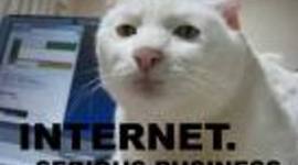 Timeline: History of the Internet by Zoe.