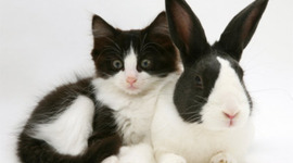 Timeline: My trip to Canada