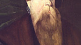 Timeline: Gustav Vasa