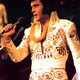 Elvis