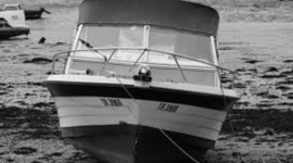 Timeline: Immigration