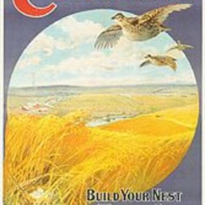 Timeline: Canadian Immigration in 1900's