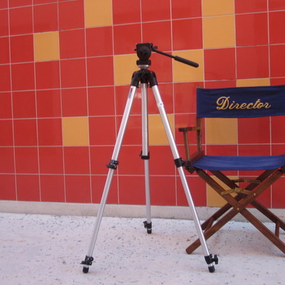 Timeline: Road to Hollywood